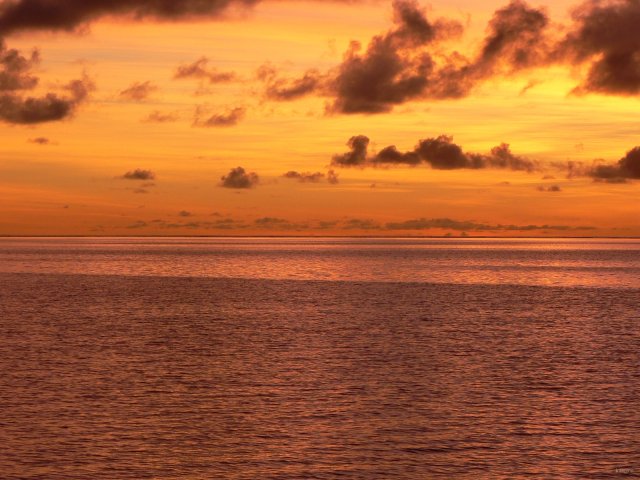 126- Feerie de roses au coucher de soleil au carenage 